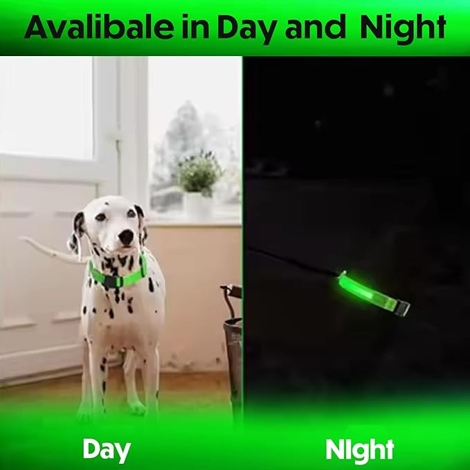 Light Up Dog Collar – Reflective, Adjustable, Rechargeable Electronic Glow Pet Collars – Bright, Comfortable, High Visibility LED Dog Collar for Night Safety, Outdoor Walk, Flashing Fun, Green, Medium