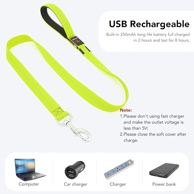 Colaseeme Light Up Dog Leash, LED Pet Leashes USB Rechargeable, Glow Safety Dogs Lights at Night (4FT,Green & Reflective Wires)