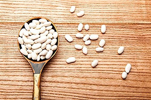 Food to Live Organic Cannellini Beans, 25 Pounds – Non-GMO, Dried White Kidney Beans, Sproutable, Vegan, Kosher, Bulk. Pre-Soak Needed. Rich in Fiber, Protein. Great for Minestrone Soup, Bean Salad.