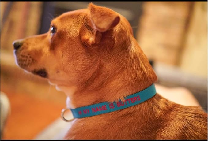 FlowerTown Personalized Dog Collar with Embroidered Name and Phone Number, Custom Dog ID Collars 4 Adjustable Sizes with Safety Release Buckle and D-Ring (Normal), Blue