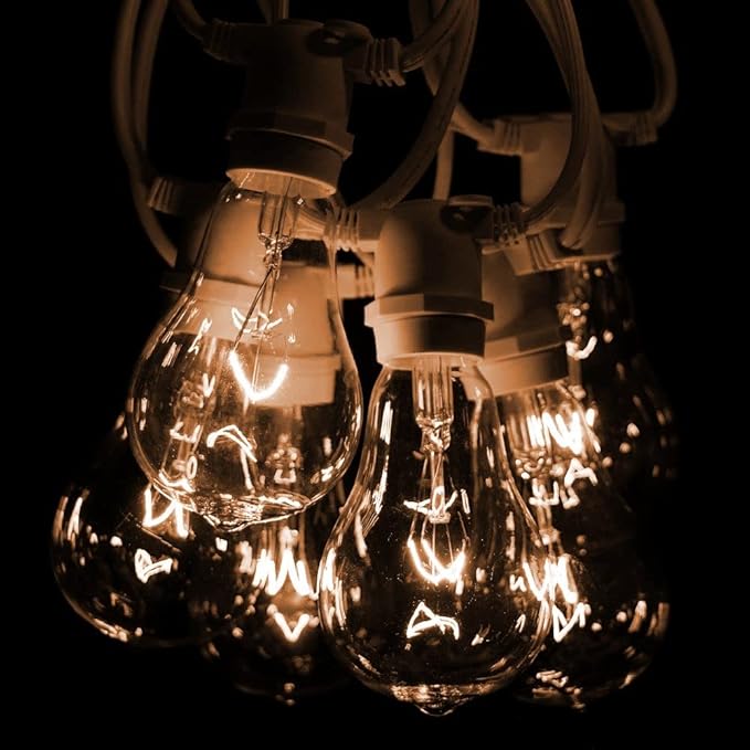 Hometown Evolution, Inc. Commercial Grade Vintage Edison Outdoor String Lights (PS50 Clear - Commercial White Wire, 50 ft)