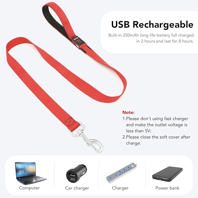 Colaseeme Light Up Dog Leash, LED Pet Leashes USB Rechargeable, Glow Safety Dogs Lights at Night (4FT,Red)
