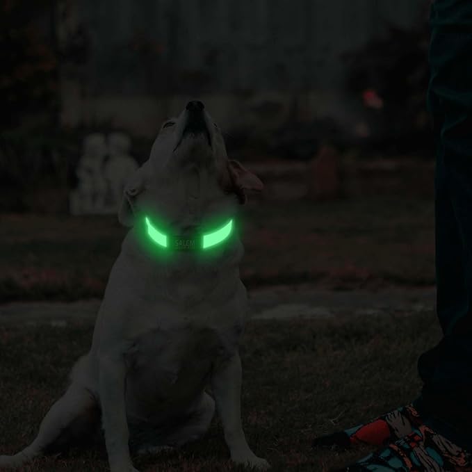 Personalized Dog Collars for Small & Large Dogs with Custom Name and Phone Numbers, Glow in The Dark Adjustable Glowing Luminous Collar(Fluorescent Glow)