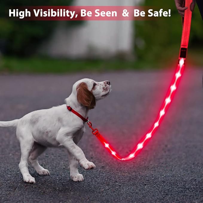 Candofly Light Up Dog Leash, USB Rechargeable LED Dog Leash, 4 Ft Reflective Pet Leash for Small Medium Large Dogs(Hotpink)