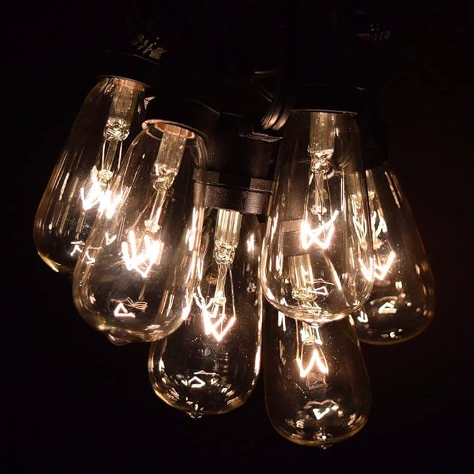 Hometown Evolution, Inc. Vintage Commercial Outdoor Edison String Lights (ST40 Clear - Commercial Black Wire, 50 ft)