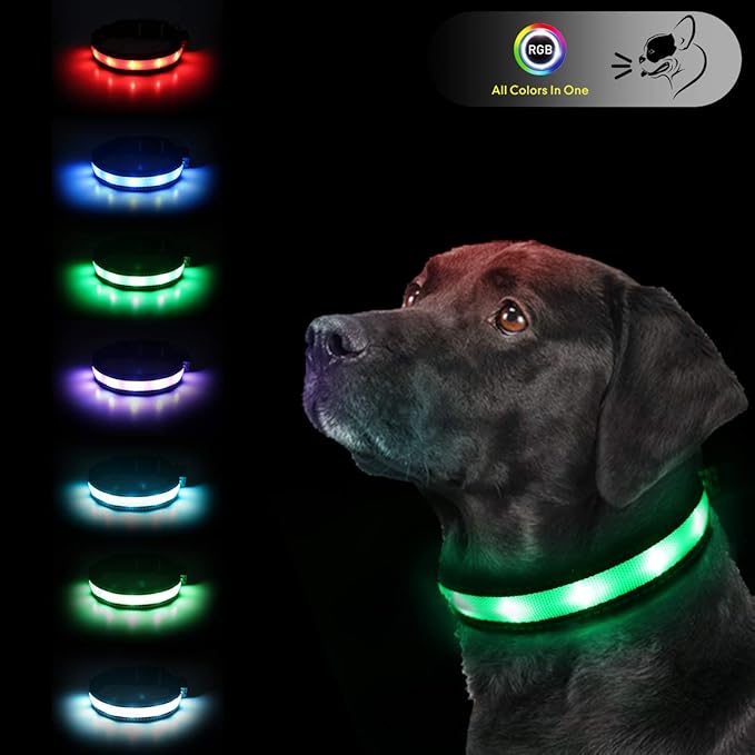 Light Up Dog Collars,Safety LED Dog Collars USB Rechargeable 7 Changing Colors Glow in The Dark Dog Walking Light,Neon Adjustable Safety Buckle Lighted Dog Collar for Small/Medium/Large Dogs, S Size