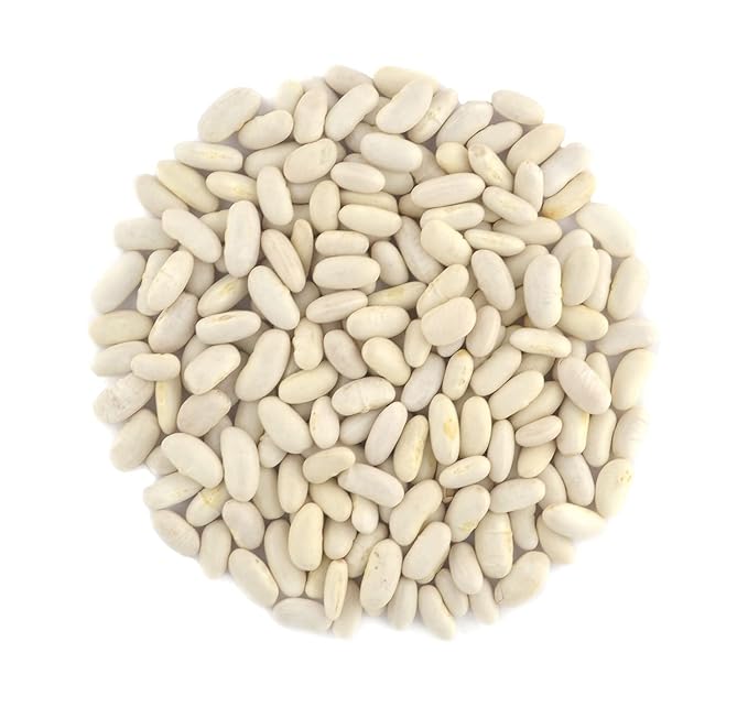 Organic Great Northern Beans,Raw, non GMO, Vegan, Bulk (10LB)