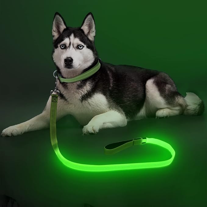 Colaseeme Light Up Dog Leash, LED Pet Leashes USB Rechargeable, Glow Safety Dogs Lights at Night (4FT,Green & Reflective Wires)