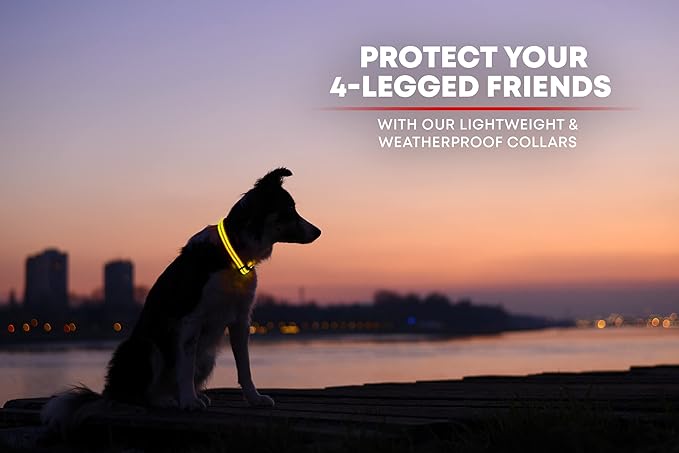 ILLUMISEEN LED Dog Collar USB Rechargeable - Bright & High Visibility Lighted Glow Collar for Pet Night Walking - Weatherproof, in 6 Colors & 6 Sizes (Yellow XX-Small)