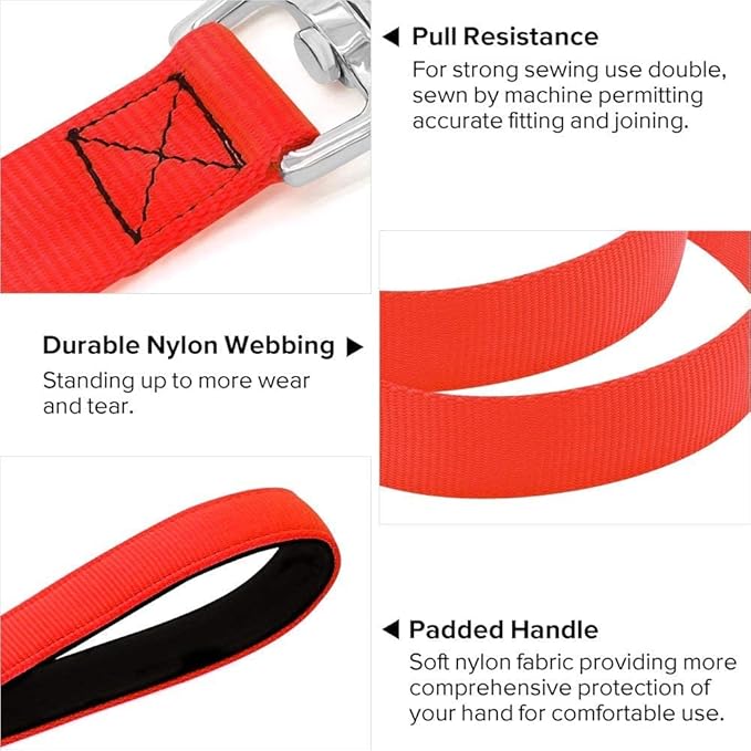 Colaseeme Light Up Dog Leash, LED Pet Leashes USB Rechargeable, Glow Safety Dogs Lights at Night (4FT,Red)