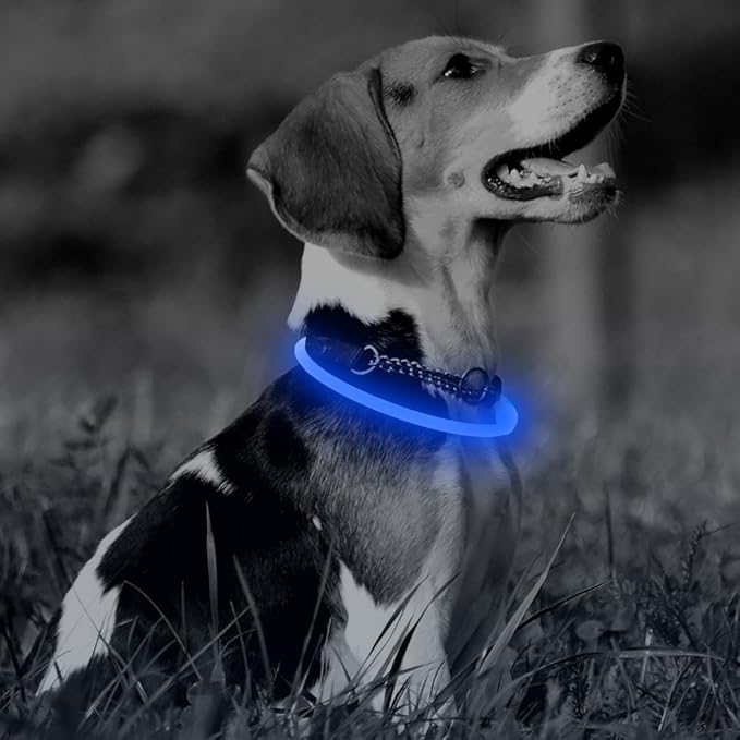 Illumifun LED Dog Collar - USB Rechargeable Light Up Dog Collars, TPU Cuttable Lighted Dog Necklace for Night Walking (Blue)