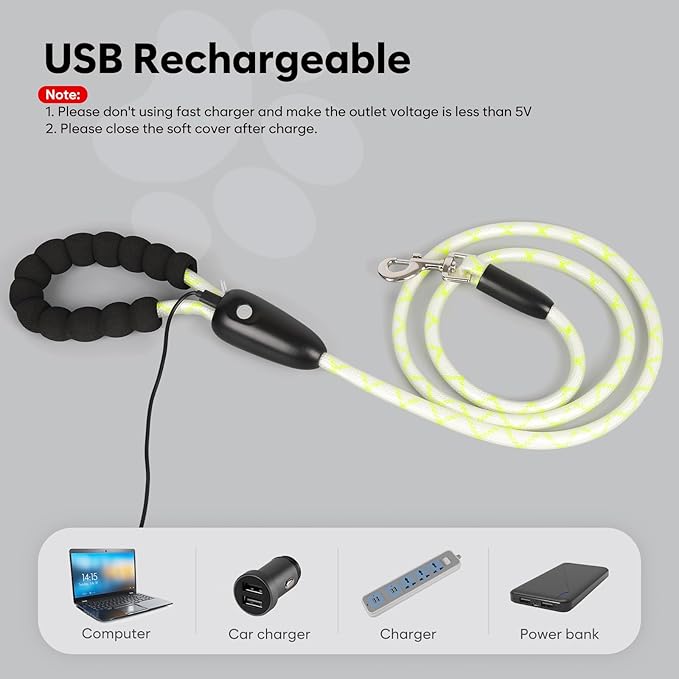 Colaseeme Light Up Dog Leash, LED Pet Leashes USB Rechargeable, Glow Safety Dogs Lights at Night (6FT,Multi-Color)