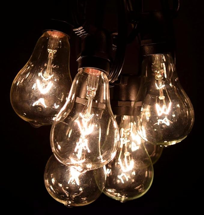 Hometown Evolution, Inc. Commercial Grade Vintage Edison Outdoor String Lights (PS50 Clear - Commercial Black Wire, 100 ft)