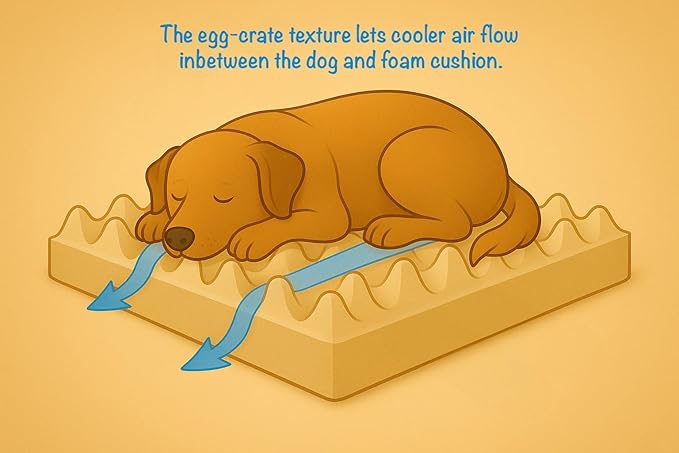 Furry's Paradise Foam Cuddler Waterproof Bolster Pet Bed with Reversible Cushion, Recycled Fibers and Non-Slip Bottom. (Shallow Seas, Orthopedic Large)