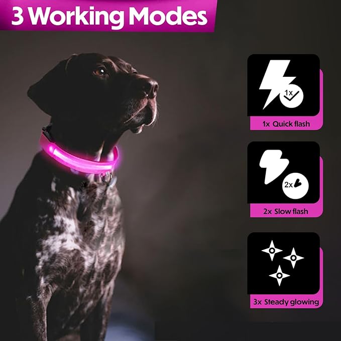 Light Up Dog Collar – Reflective, Adjustable & Rechargeable Electronic Glow Pet Collars – Bright, Comfortable, High Visibility LED Dog Collar for Night Safety, Outdoor Walk & Flashing Fun, Pink, Large