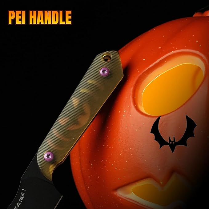 Kizer Mini Harpoon Fixed Blade Knife with Sheath, 3??3V Blade Hunting Knife with PEI Handle, Camping Fixed Blade Small EDC Knives for Men Women Gift 1040SHW1