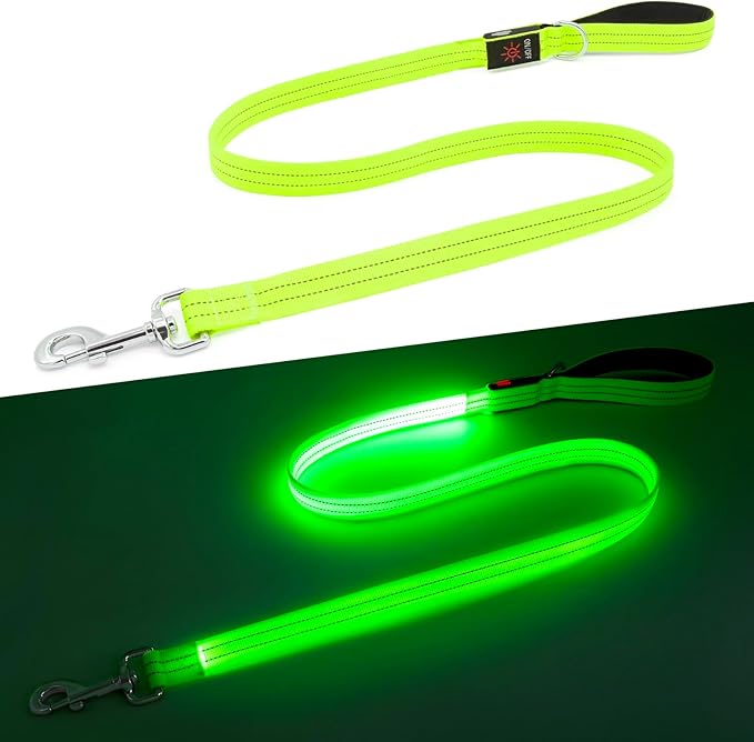 LED Dog Leash, 4 Ft Light Up Dog Leash USB Rechargeable Waterproof, Nylon Reflective Leashes with Padded Handle, Safety Glow in The Dark Pet Lights for Large Medium Small Pet(Green)