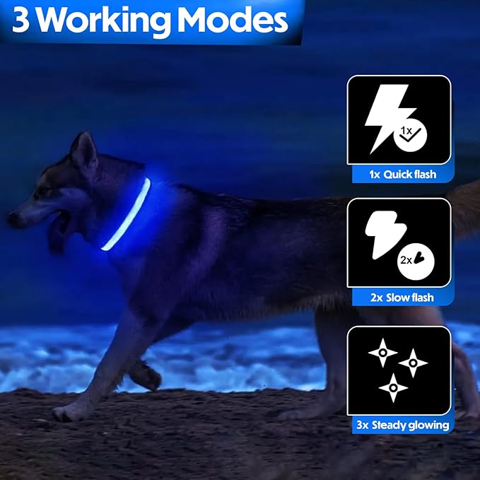 Light Up Dog Collar – Reflective, Adjustable & Rechargeable Electronic Glow Pet Collars – Bright, Comfortable, High Visibility LED Dog Collar for Night Safety, Outdoor Walk & Flashing Fun, Blue, Small