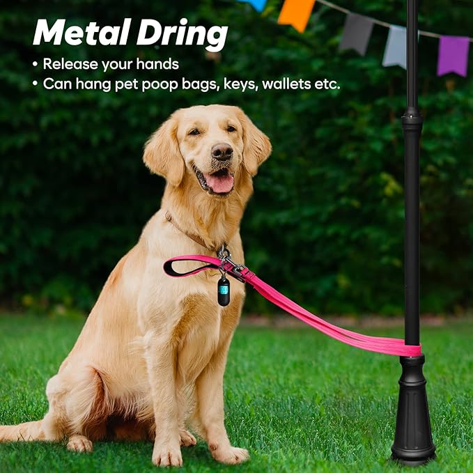 4 Ft Led Dog Leash, Rechargeable Light Up Dog Leash Waterproof, Safety Glow in The Dark Dog Leash for Night Walking, Nylon Reflective Leashes with Padded Handle for Small Medium Large Pets