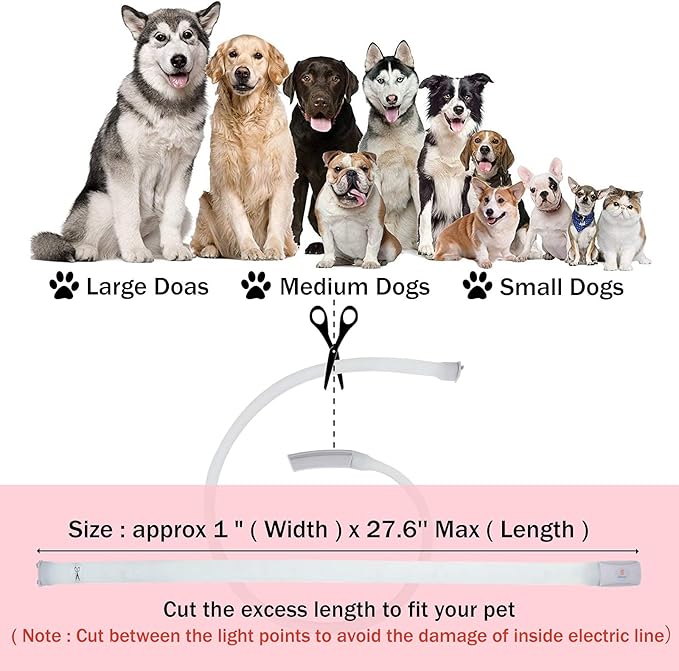 Led Dog Collar Rechargeable USB-C, Super Bright Multi-Color Light Up Collar, Weatherproof Lighted Safety Dog Collar Light for Night Walking,Size Cuttable for Large Medium Small Dogs