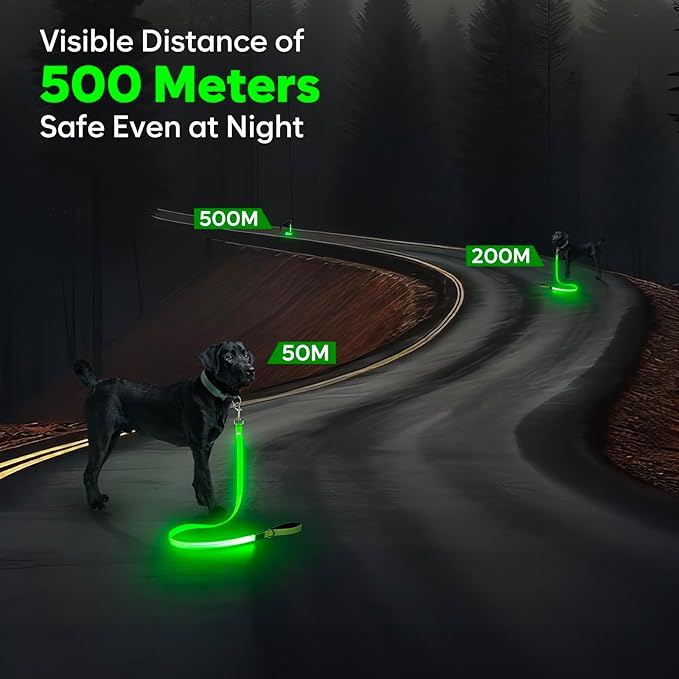 LED Dog Leash, 4 Ft Light Up Dog Leash USB Rechargeable Waterproof, Nylon Reflective Leashes with Padded Handle, Safety Glow in The Dark Pet Lights for Large Medium Small Pet(Green)
