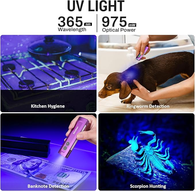 Wurkkos HD01 UV Flashlight, Rechargeable EDC Flashlight, Led Flashlight with 365nm UV Light, 1200 Lumens Flat Flashlight with RGB, Pocket Light for Emergency, Pet Urine Detection(Purple)