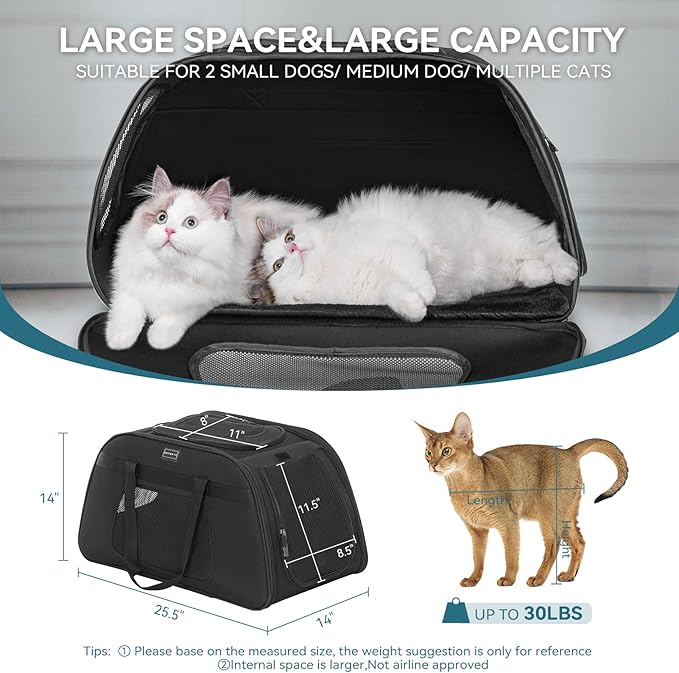 PETSFIT Extra Large Pet Carrier with Wheels- Rolling Dog Carrier for 2 Small Dogs, Large Cat Carrier on Wheels with Adjustable Safety Rope & Waterproof Bottom (?โยต?โ๏ฟฝ?โโข ?โยจ?โล ?โโ?โ๏ฟฝ?โล ?โ๏ฟฝ?โโ ?โยจ?โโ?โโ?โโ?โ๏ฟฝ?โโ?โโ ?โโฆ)