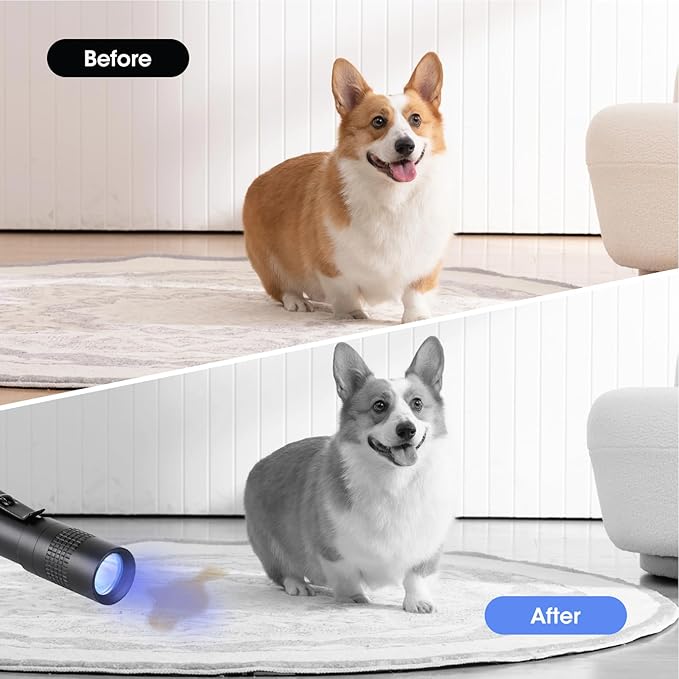 Mini Pocket Flashlight, Small LED Pen Light with Clip, 500 Lumen Torch Powered by AAA Battery, Portable Versatile for Inspection Medical Repair Camping Outdoor Emergency (3.5" 3 Pack Purple)