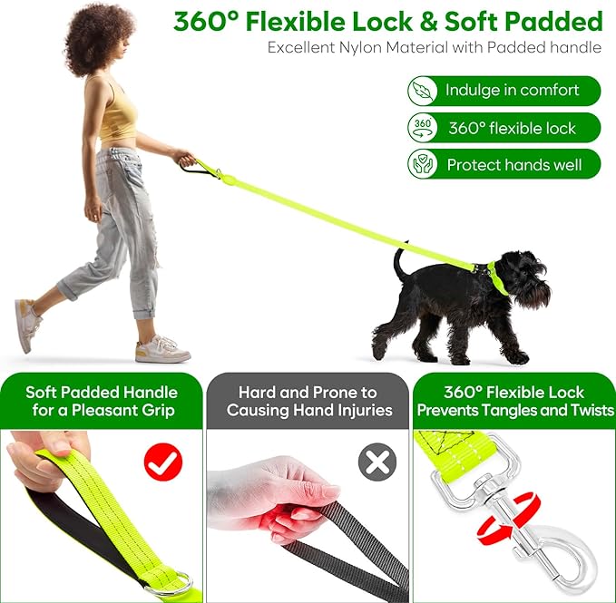 LED Dog Leash, Light Up Dog Leash 4 Ft Fully Illuminated USB Rechargeable Waterproof, Nylon Reflective Leashes with Padded Handle for Dogs Night Walking, Safety Glow in The Dark for Large Medium Pets
