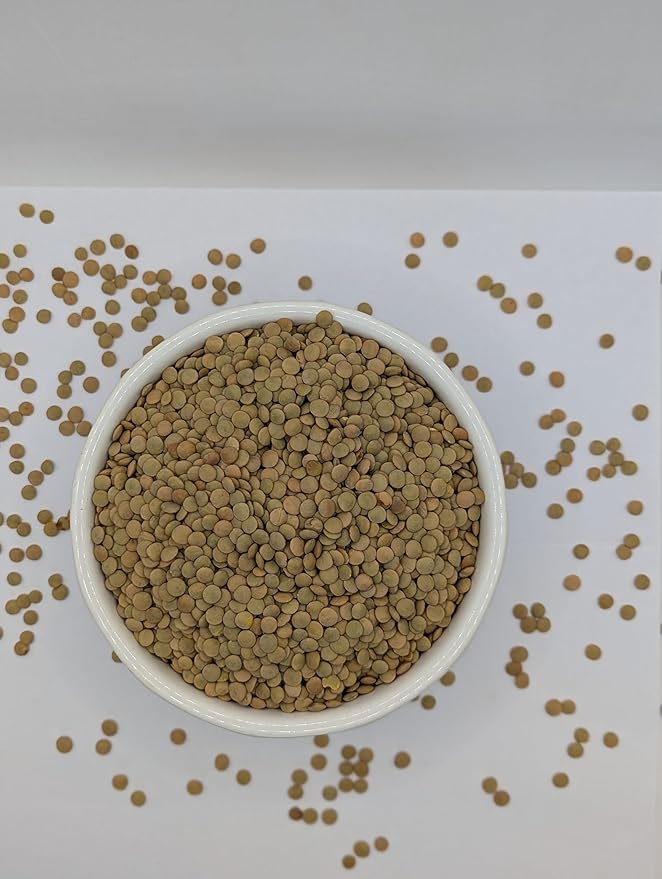 High Plains Richlea Lentils | 10 Pound Bag | Farm-Fresh | Non-GMO Verified | High Protein & Fiber Source | Dry Beans | Directly Sourced from Local Farmers
