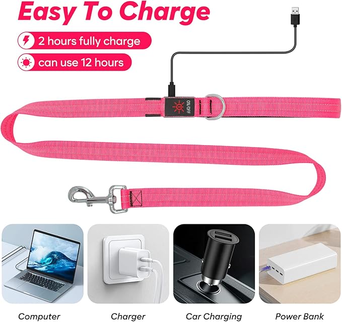 4 Ft Led Dog Leash, Rechargeable Light Up Dog Leash Waterproof, Safety Glow in The Dark Dog Leash for Night Walking, Nylon Reflective Leashes with Padded Handle for Small Medium Large Pets