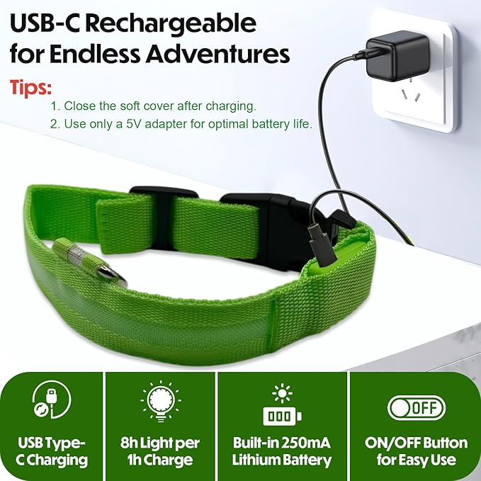 Light Up Dog Collar – Reflective, Adjustable, Rechargeable Electronic Glow Pet Collars – Bright, Comfortable, High Visibility LED Dog Collar for Night Safety, Outdoor Walk, Flashing Fun, Green, Medium