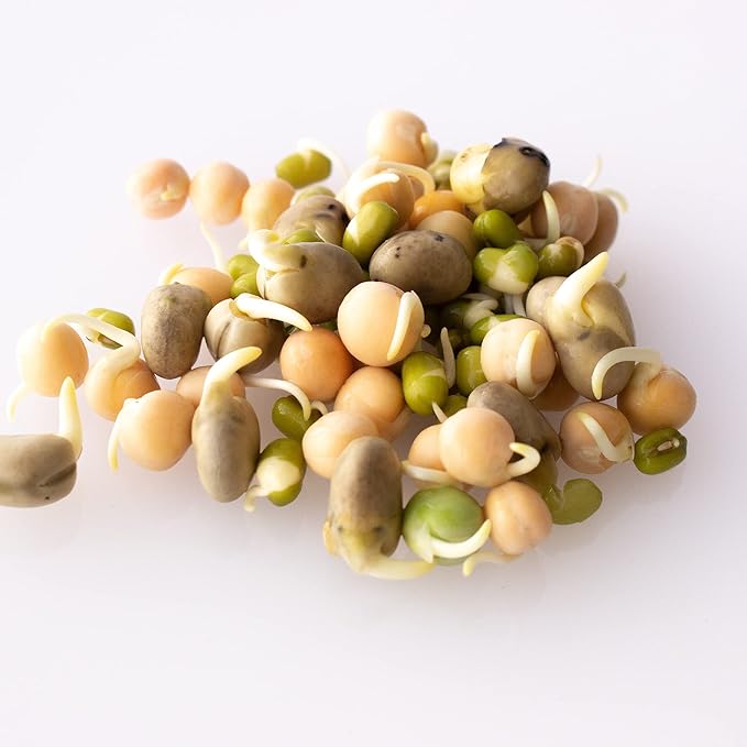 Organic Sprouting Seeds - Handy Pantry Sweet Protein Mix 8 oz. - Fava Bean, Mung Bean, & Yellow Pea Seeds - High Protein Food for Daily Health or Food Storage - Easy and Delicious Organic Sprout Seeds
