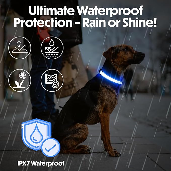 Light Up Dog Collar – Reflective, Adjustable & Rechargeable Electronic Glow Pet Collars – Bright, Comfortable, High Visibility LED Dog Collar for Night Safety, Outdoor Walk & Flashing Fun, Blue, Small