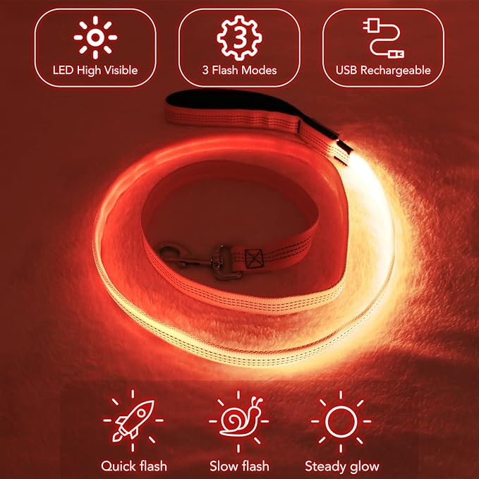 Colaseeme Light Up Dog Leash, LED Pet Leashes USB Rechargeable, Glow Safety Dogs Lights at Night (4FT,Orange)