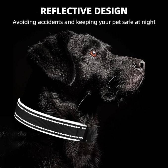 Airtag Dog Collar - 100% Waterproof AirTag Holder, Reflective, Soft Padded, Everlasting GPS Collar for Small to Large Dogs (Black, M)