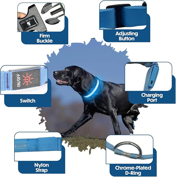 Light Up Dog Collar – Reflective, Adjustable & Rechargeable Electronic Glow Pet Collars – Bright, Comfortable, High Visibility LED Dog Collar for Night Safety, Outdoor Walk & Flashing Fun, Blue, Small