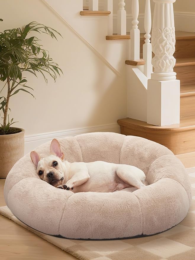 OhGeni 31 inches Calming Donut Orthopedic Dog & Cat Bed for Medium Pets, Warming Comfort Fluffy Short Pile Fur, Durable Waterproof Machine Washable Removable Cover, Cute Round Bed for Puppy, Cream