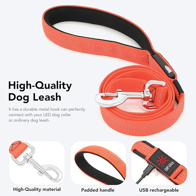 Colaseeme Light Up Dog Leash, LED Pet Leashes USB Rechargeable, Glow Safety Dogs Lights at Night (4FT,Orange)