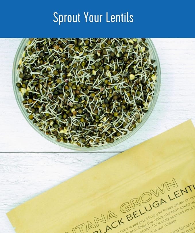 Black Lentils | 25 LBS | Emergency Food Storage Bucket | Non-GMO | Vegan | Bulk