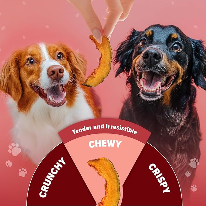Pumpkin Chips for Dogs – 100% Natural Single Ingredient Dog Treats – Crunchy & Crispy – Easy to Digest, Hypoallergenic, Grain-Free – Healthy Snack for All Breeds – 6 oz