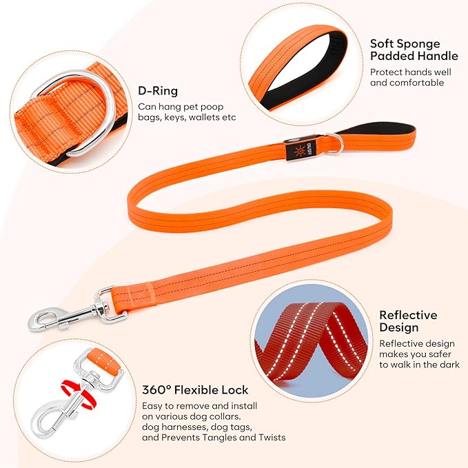 LED Dog Leash, 4 Ft Light Up, USB Rechargeable, Waterproof, Nylon Reflective with Padded Handle, Safety Glow in The Dark for Large, Medium, Small Pets (Orange)