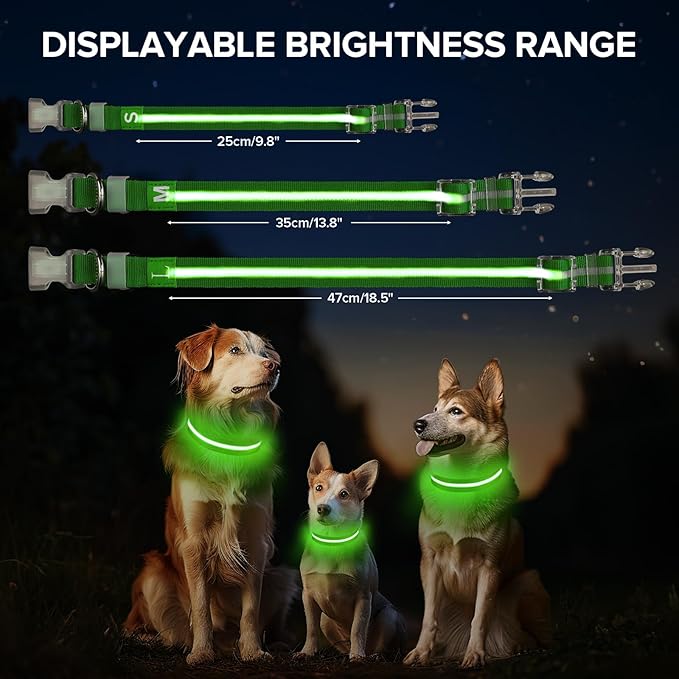 Light Up Dog Collar, Adjustable USB Rechargeable Glow in Dark Dog Collar ,Waterproof Dog Collars for Medium Dogs (Green, Medium)