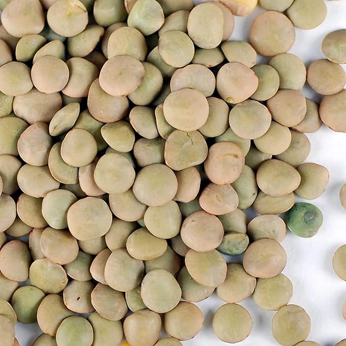 Organic Dried Green Lentil Sprouting Seed: 2.5 Lb - Dry Lentils for Planting Garden Seeds, Soup, Cooking or Sprout Salad, Sprouts
