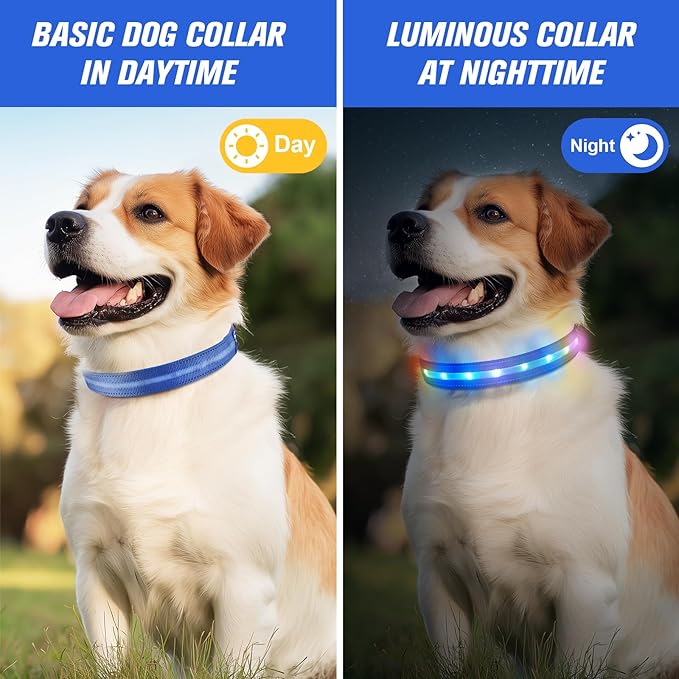 LED Dog Collar, Light Up Dog Collar, USB Rechargeable - Brightest Dog Lights for Night Walking, 6 Light Modes, Adjustable for Dog Safety(Small, Royal Blue)
