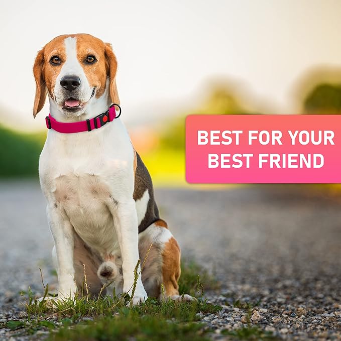 Adjustable Dog Collar with Safety Lock Buckle - Made in USA - Honeycomb Waterproof Heavy Duty Dog Collars for Medium Large Dogs - Odor Proof Pet Collar for Dogs with Strong Zinc D Ring Pink