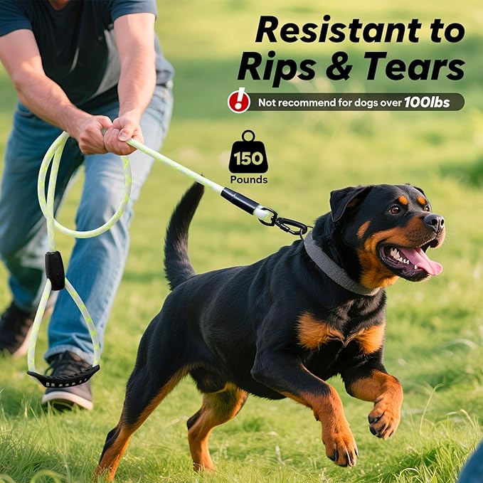 Colaseeme Light Up Dog Leash, LED Pet Leashes USB Rechargeable, Glow Safety Dogs Lights at Night (5FT,Multi-Color)