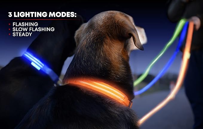 ILLUMISEEN LED Dog Collar USB Rechargeable - Bright & High Visibility Lighted Glow Collar for Pet Night Walking - Weatherproof, in 6 Colors & 6 Sizes (Red Medium)