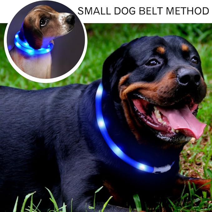 LED Dog Collar,USB Rechargeable Glowing Dog Collars, Light Up Collar Improved Pet Safety &Visibility at Night, 3 Flashing Modes,Water-Resistant Lighted Collar Fits For Small Medium Large Dogs