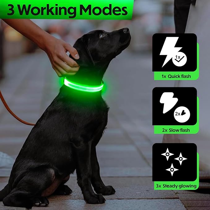 Light Up Dog Collar – Reflective, Adjustable & Rechargeable Electronic Glow Pet Collars – Bright, Comfortable, High Visibility LED Dog Collar for Night Safety, Outdoor Walk, Flashing Fun, Green, Large